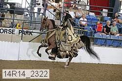 14r14_2322 thumbnail