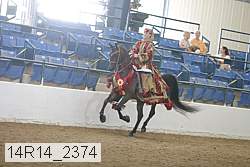 14r14_2374 thumbnail