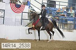 14r14_2538 thumbnail