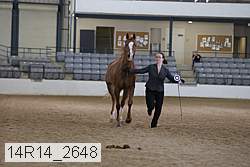 14r14_2648 thumbnail