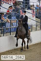 14r14_2842 thumbnail