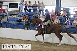 14r14_2921 thumbnail