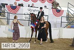 14r14_2959 thumbnail
