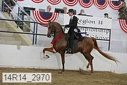 14r14_2970 thumbnail