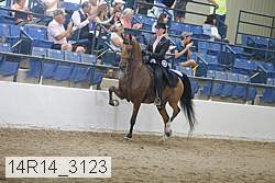 14r14_3123 thumbnail