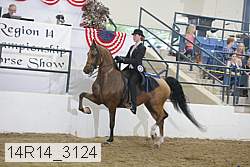 14r14_3124 thumbnail