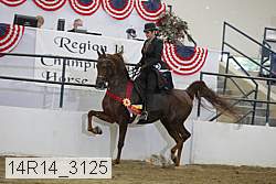 14r14_3125 thumbnail