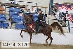 14r14_3126 thumbnail