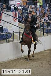 14r14_3129 thumbnail