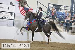 14r14_3131 thumbnail