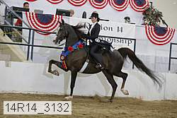 14r14_3132 thumbnail