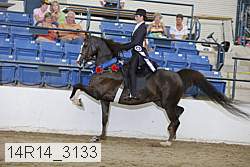 14r14_3133 thumbnail