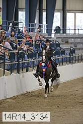 14r14_3134 thumbnail
