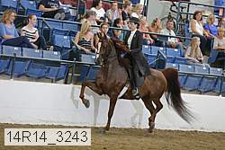 14r14_3243 thumbnail