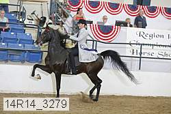 14r14_3279 thumbnail