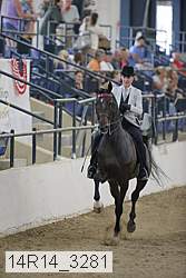 14r14_3281 thumbnail