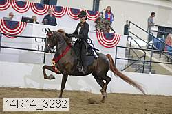 14r14_3282 thumbnail