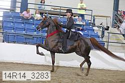 14r14_3283 thumbnail