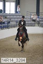 14r14_3284 thumbnail