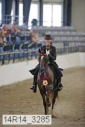 14r14_3285 thumbnail