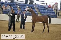 14r14_3304 thumbnail