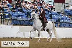 14r14_3351 thumbnail