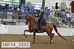 14r14_3383 thumbnail