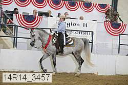 14r14_3457 thumbnail