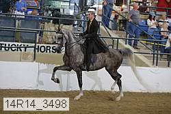 14r14_3498 thumbnail