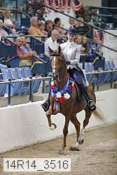 14r14_3516 thumbnail