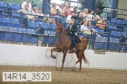 14r14_3520 thumbnail