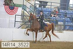 14r14_3522 thumbnail