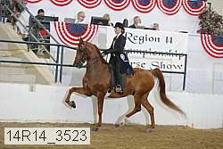 14r14_3523 thumbnail