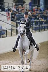 14r14_3524 thumbnail