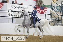 14r14_3528 thumbnail
