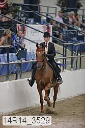 14r14_3529 thumbnail