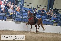 14r14_3533 thumbnail