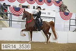 14r14_3536 thumbnail
