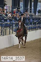 14r14_3537 thumbnail