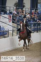14r14_3538 thumbnail