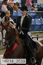 14r14_3539 thumbnail