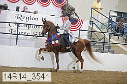 14r14_3541 thumbnail