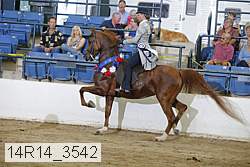 14r14_3542 thumbnail
