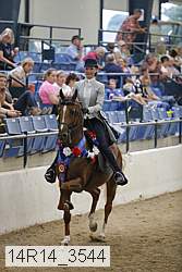 14r14_3544 thumbnail