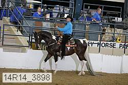 14r14_3898 thumbnail