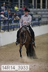 14r14_3933 thumbnail