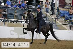 14r14_4017 thumbnail