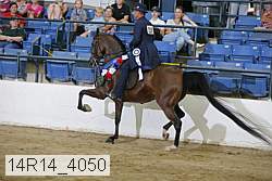 14r14_4050 thumbnail