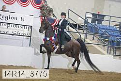 14r14_3775 thumbnail