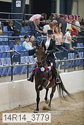 14r14_3779 thumbnail